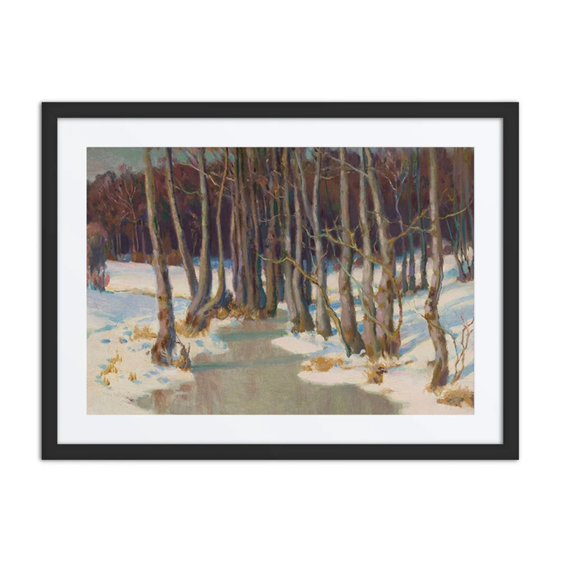 Forest Stream in Winter