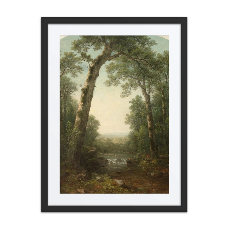 Forest Stream with Vista
