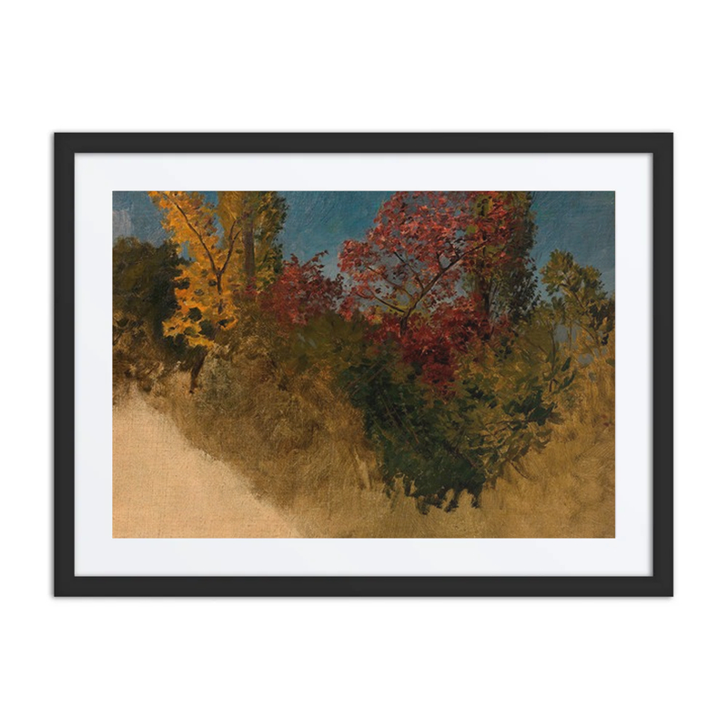 Forest Study (Trees and Shrubs)