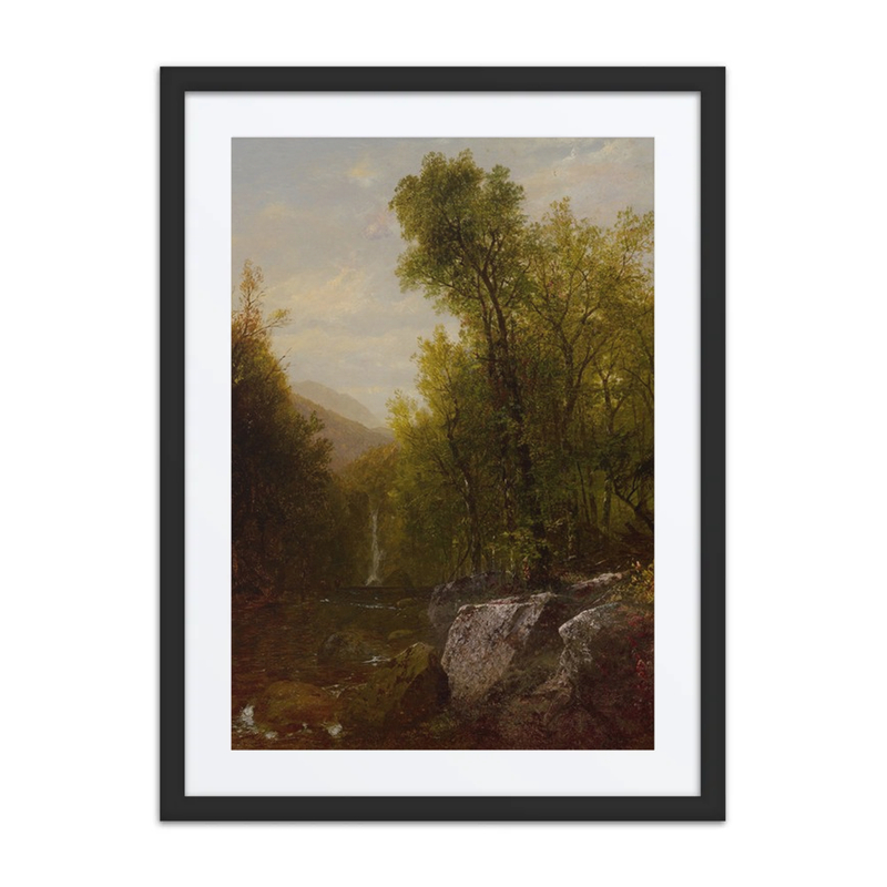 Forest Waterfall