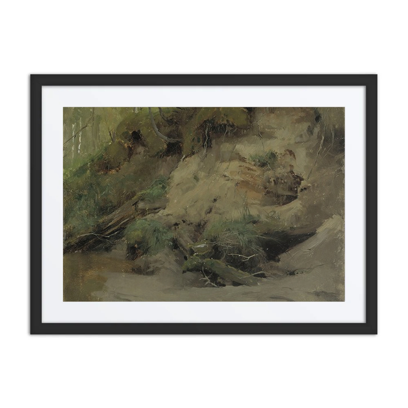 Forest with a Sandy Slope