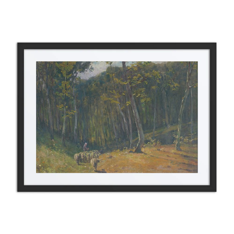 Forest with Sheep