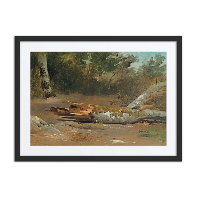 Forest with Tree Trunk (L’Isle)