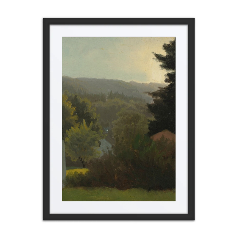 Forested Hills