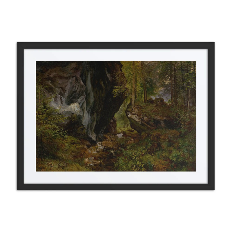 Forest’s Interior