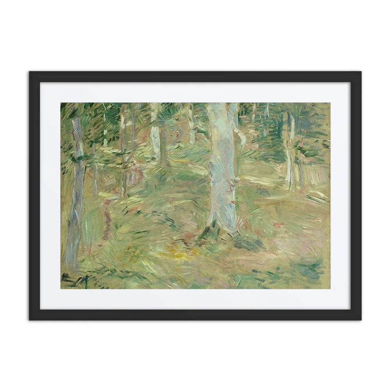 Forêt de Compiègne