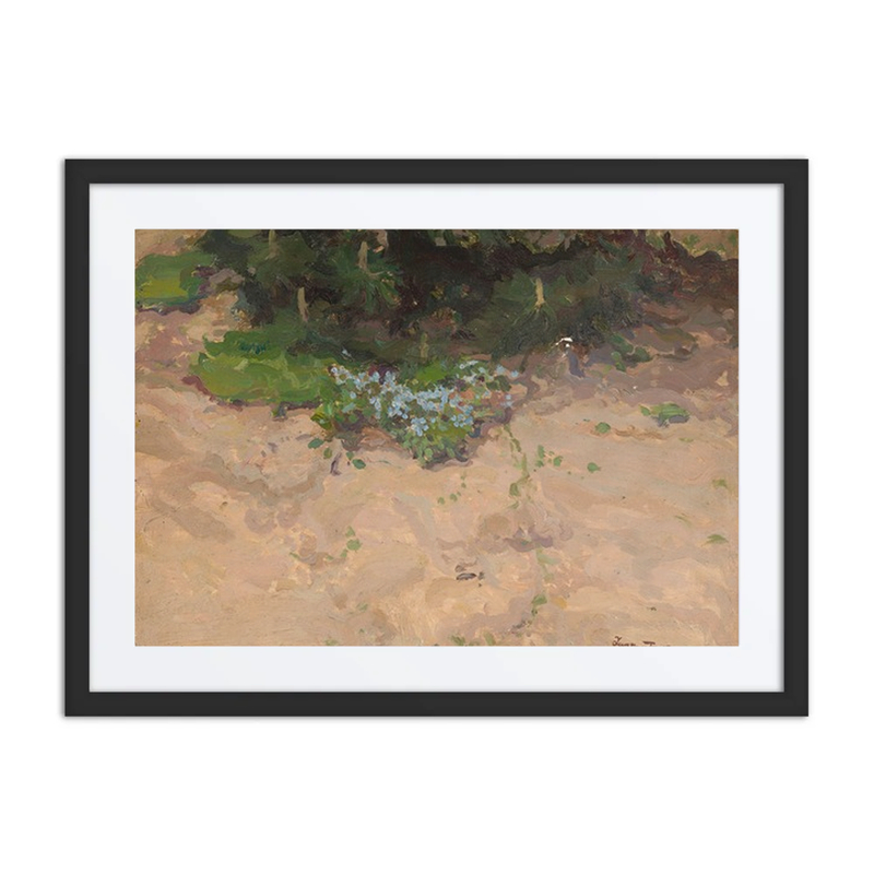 Forget-Me-Nots