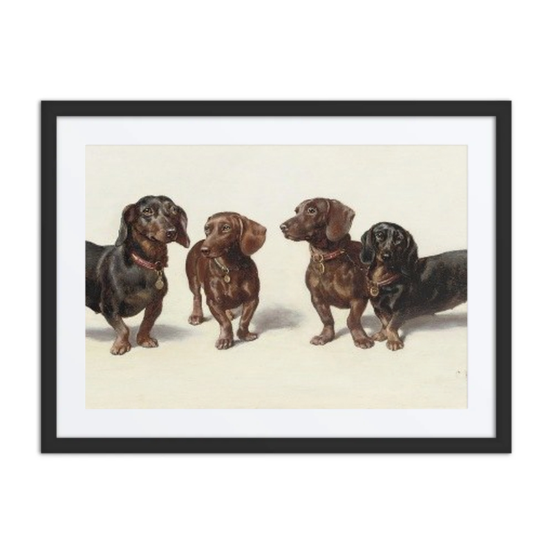 Four Dachshunds