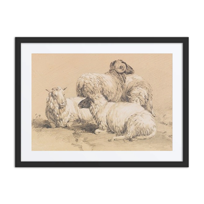 Four Sheep