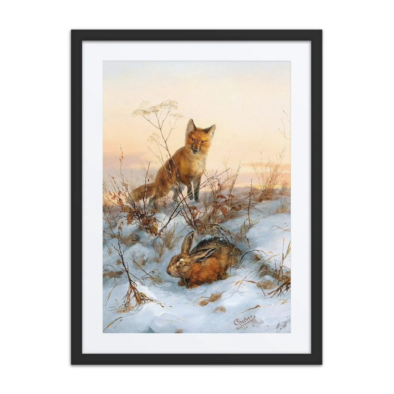 Fox and Hare