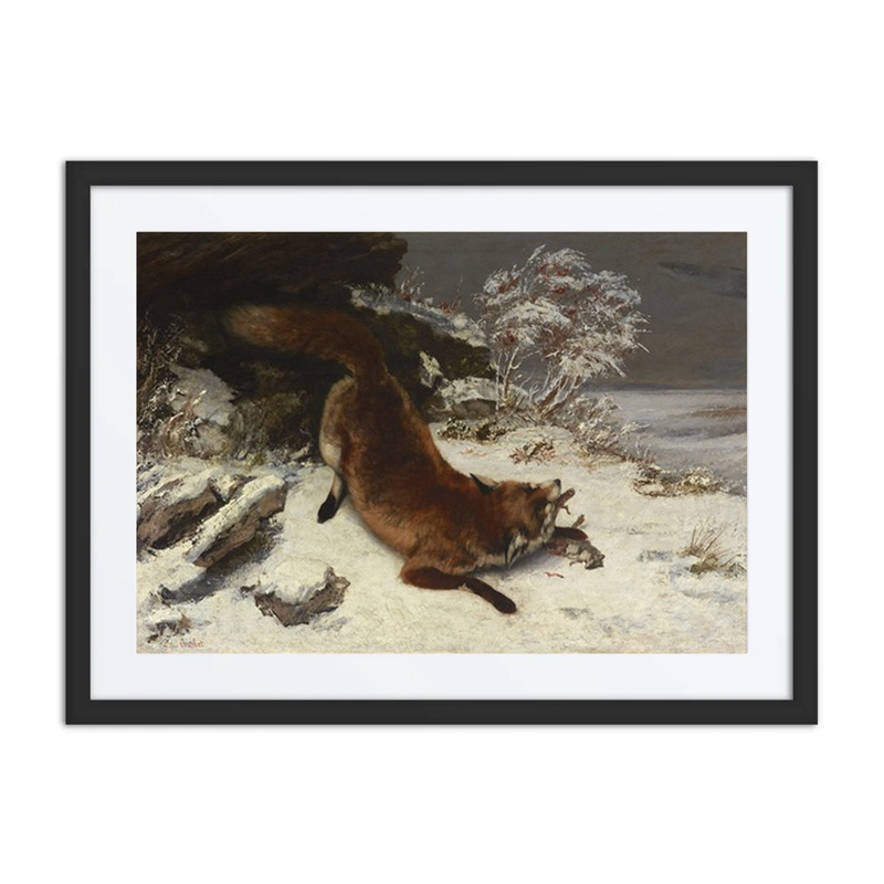 Fox in the Snow