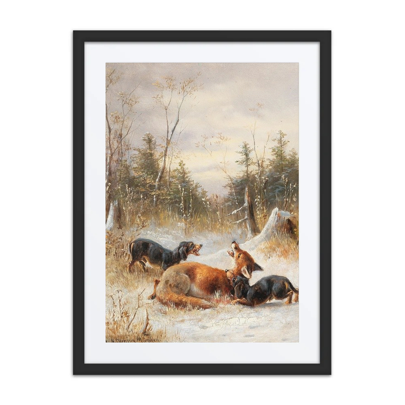 Fox with Dogs