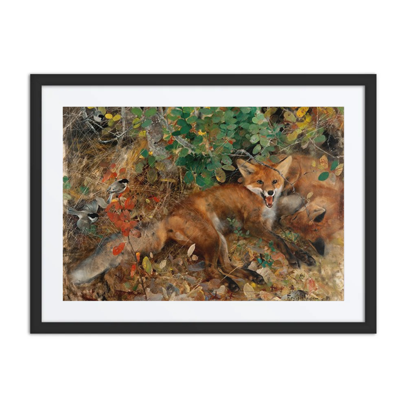 Foxes