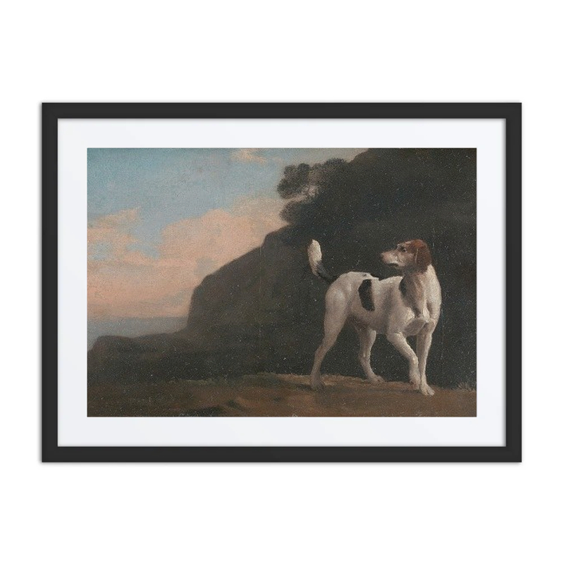 Foxhound