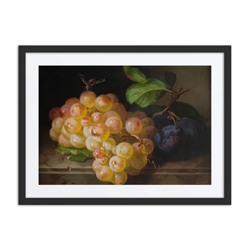 Früchtestillleben Mit Biene