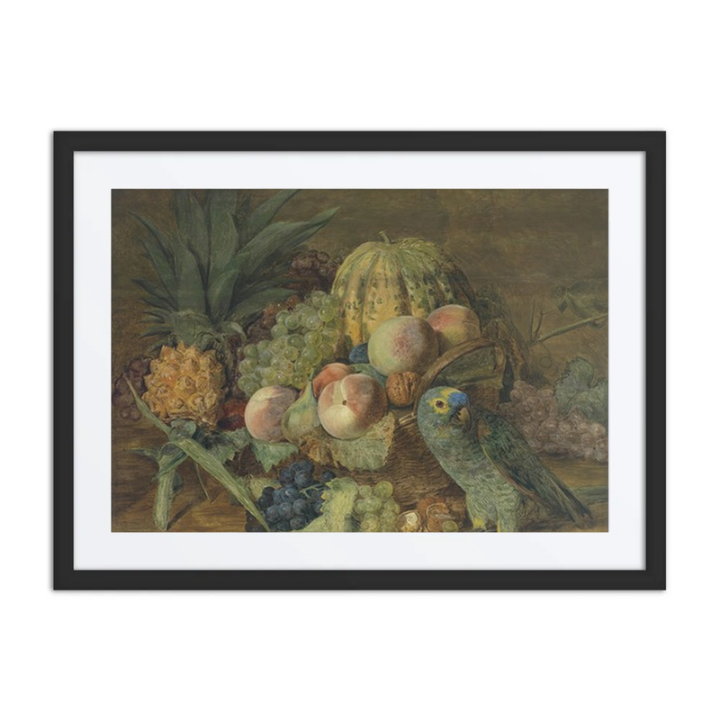 Früchtestillleben Mit Papagei