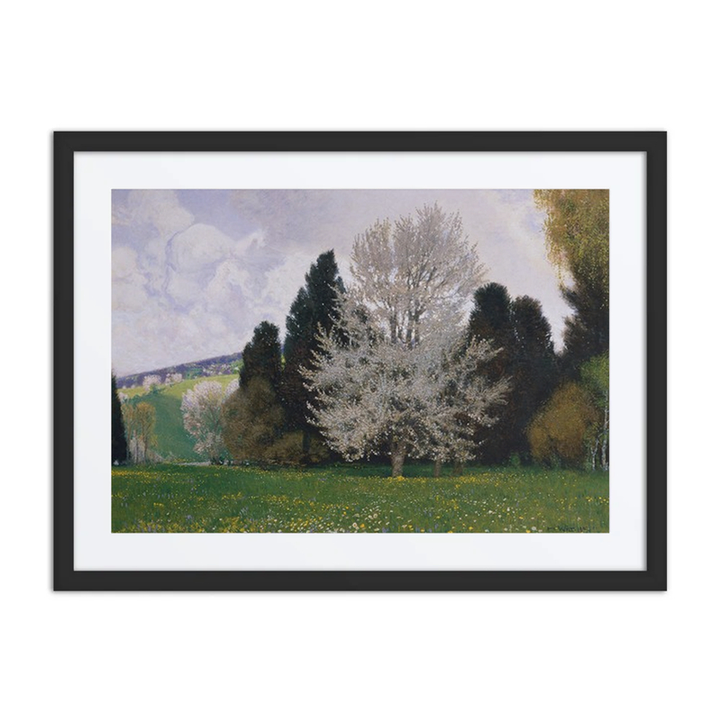 Frühling Im Wienerwald