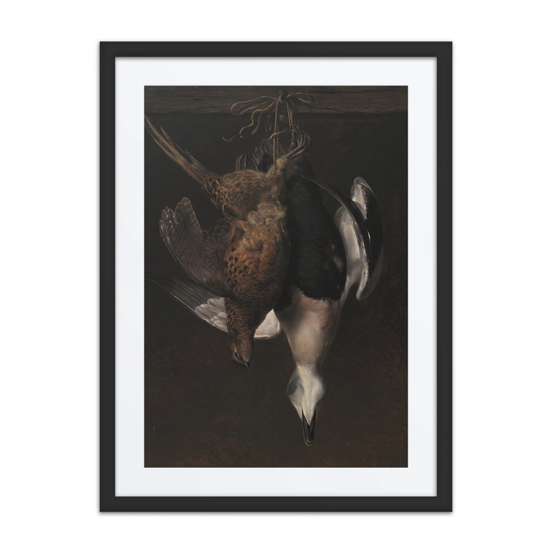 Game: a Pheasant and an Eider Duck