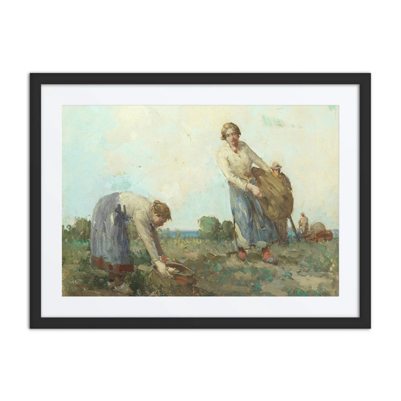 Gathering Turnips