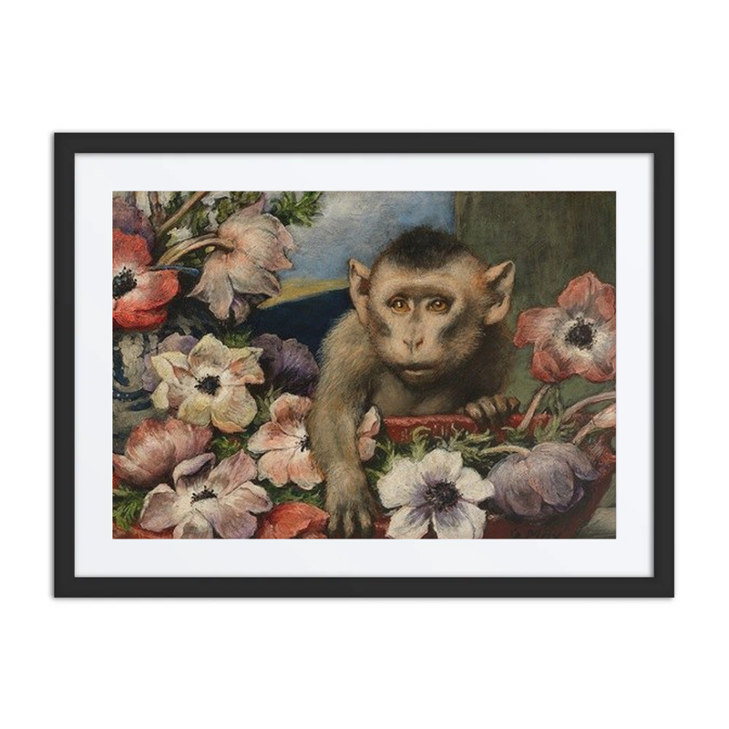 Geburtstagsblumen (Monkey with Anemones)