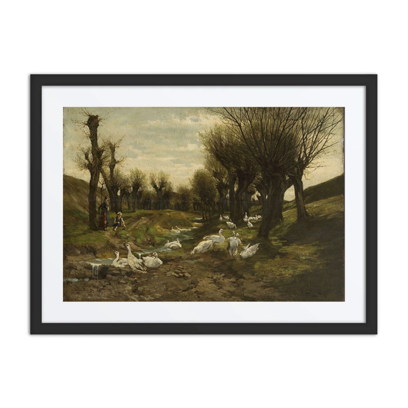 Geese Alongside a Creek