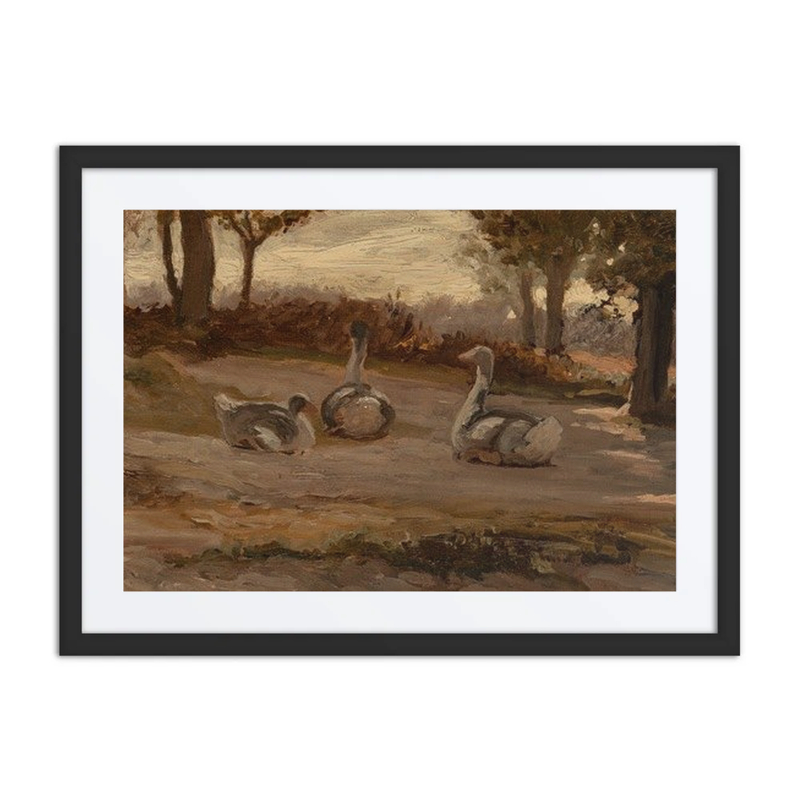 Geese