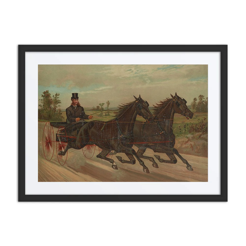 Gentleman Driving a Carriage