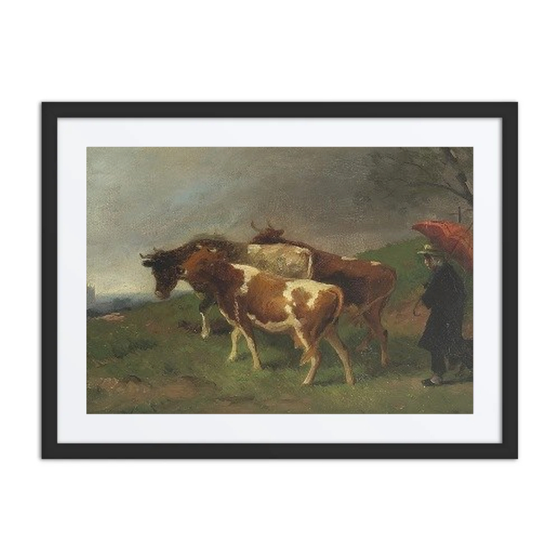 Getting the Cattle Home