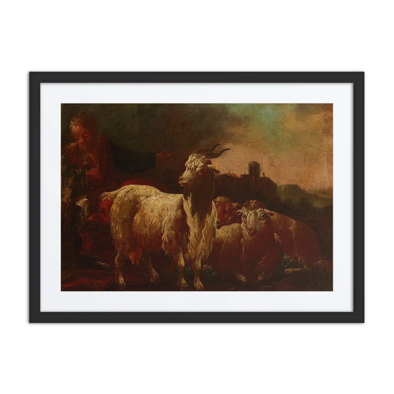 Goats and Sheep