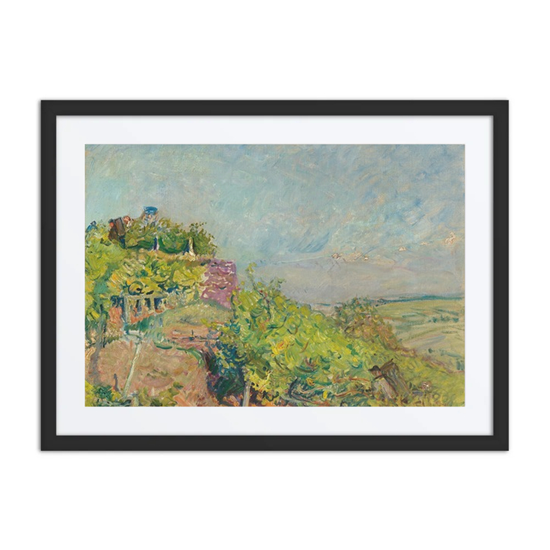 Grape Harvest at Neukastel