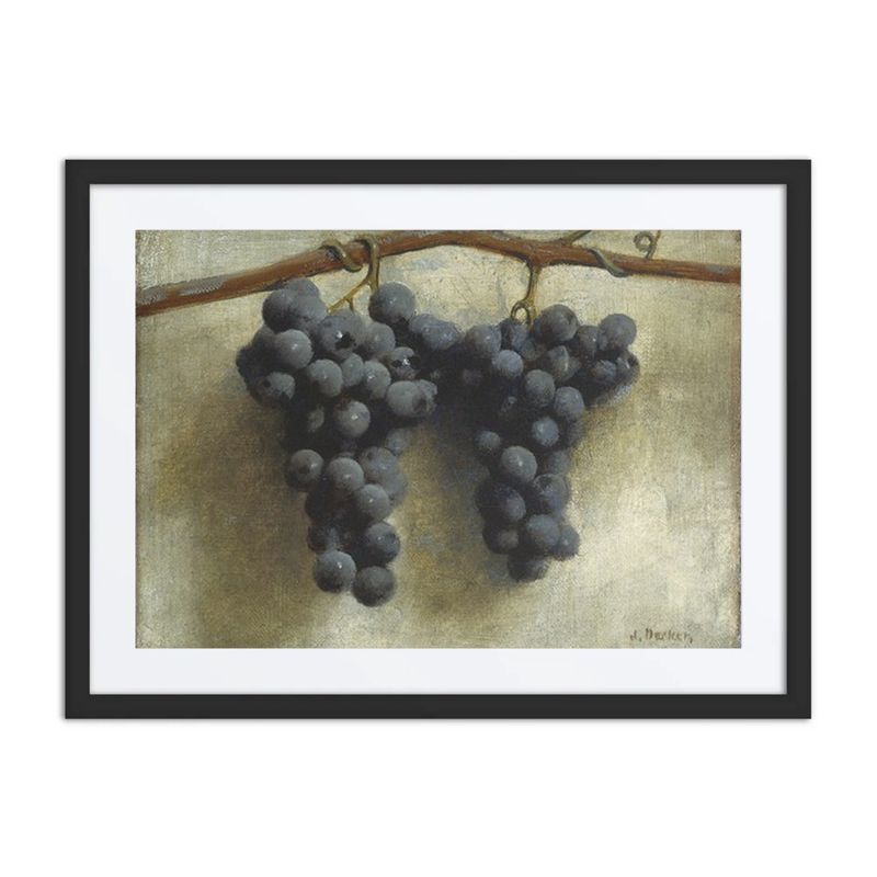 Grapes