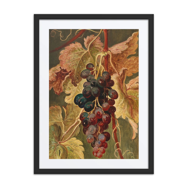 Grapes