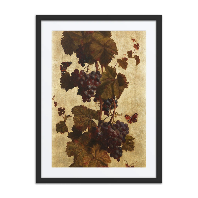 Grapes, White and Red