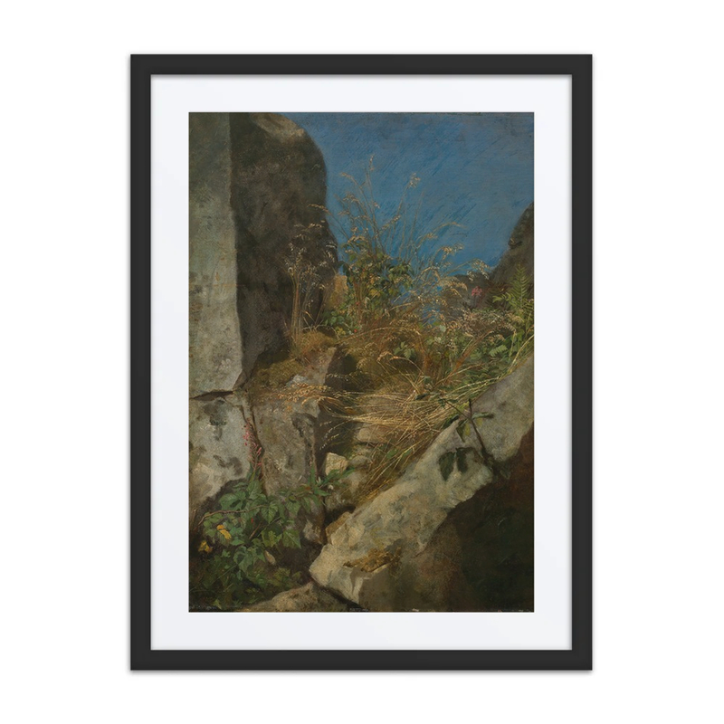 Grasses Between Rocks
