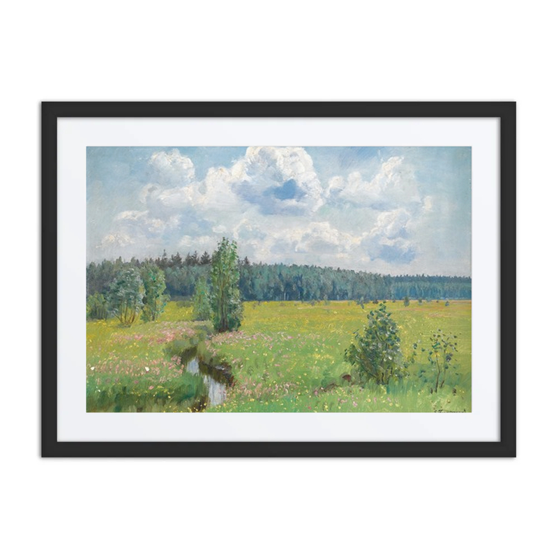 Grasslands of the Świsłocka Forest – Scorching June