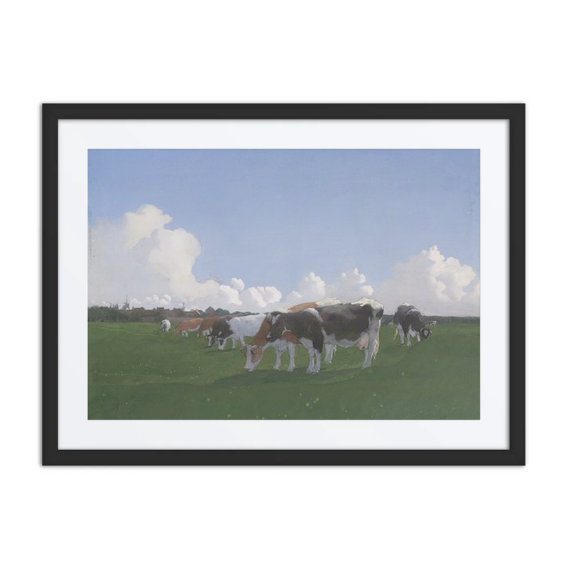 Grazing Cows in a Meadow