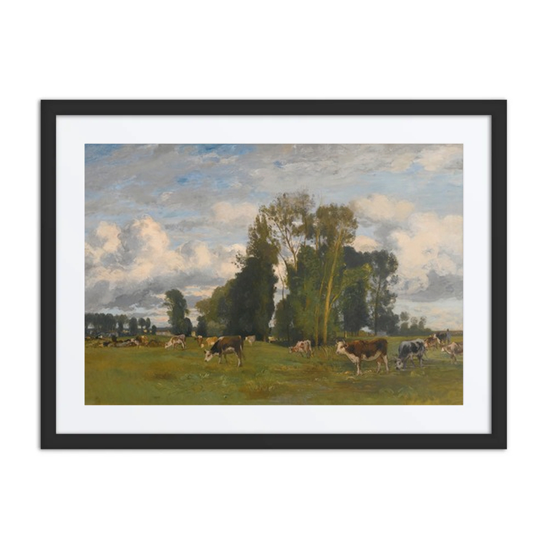Grazing Cows on a Meadow