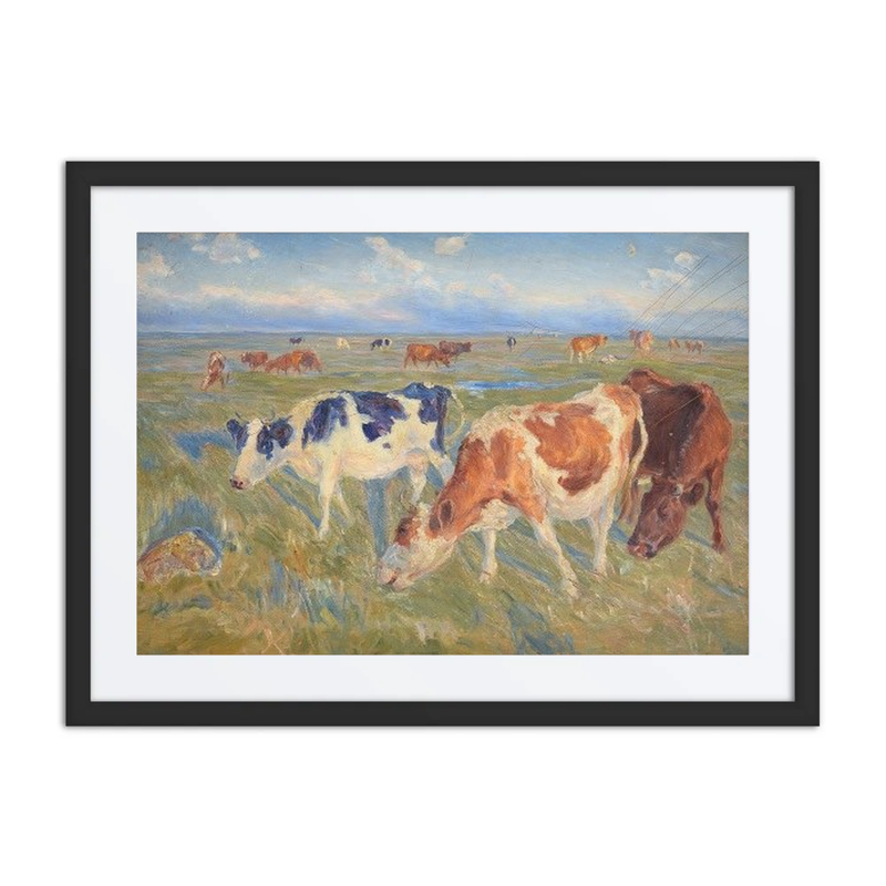 Grazing Cows on Saltholm