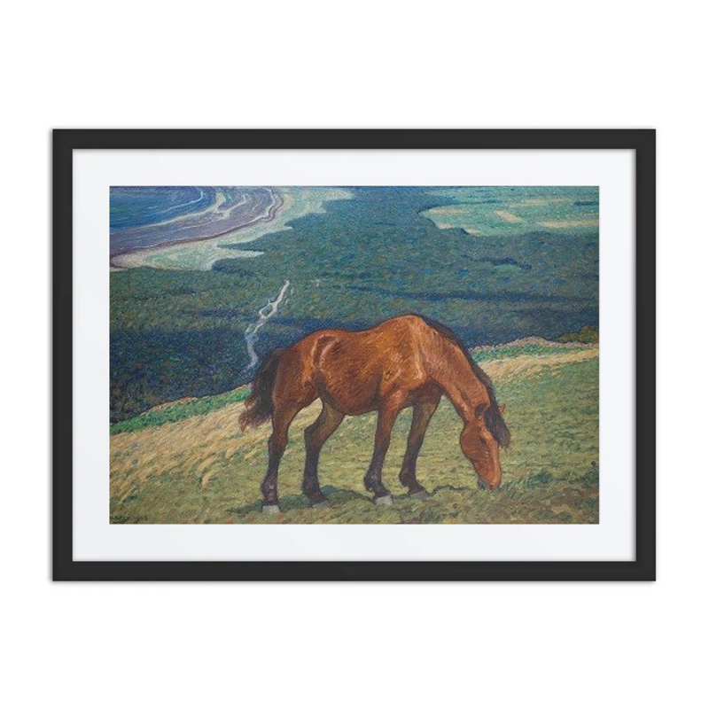 Grazing Horse