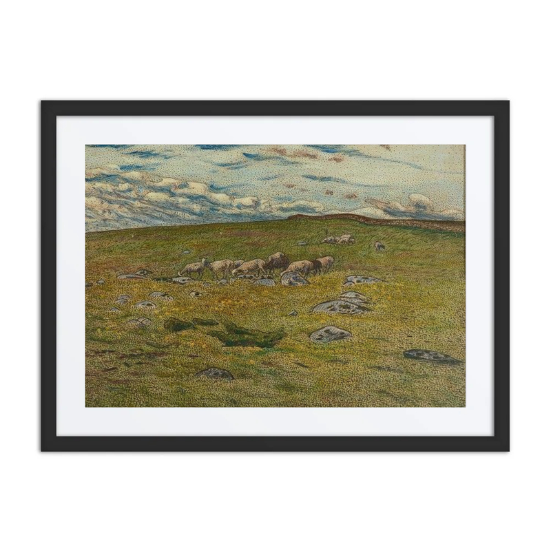 Grazing Sheep