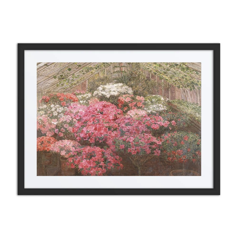 Greenhouse with Azaleas