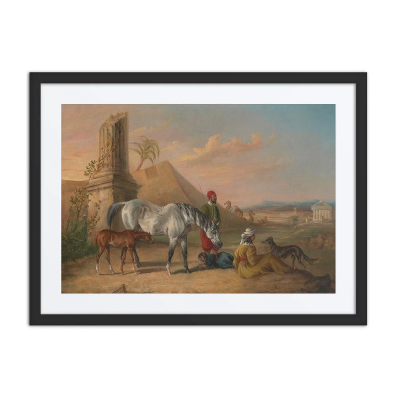 Grey Arabian Mare and Foal with a Family