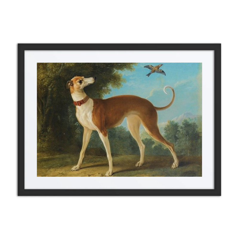 Greyhound in a Landscape