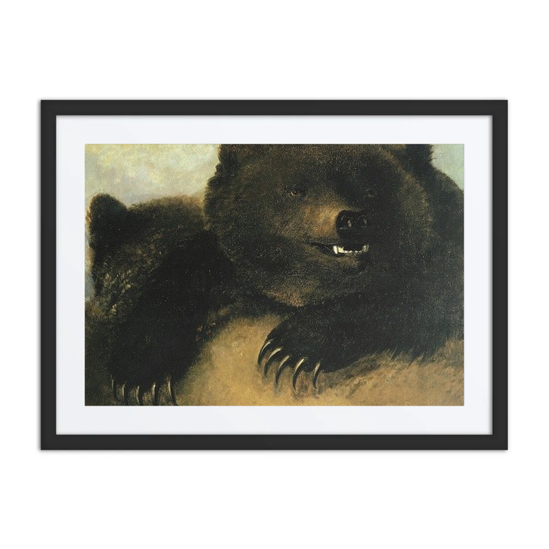 Grizzly Bear