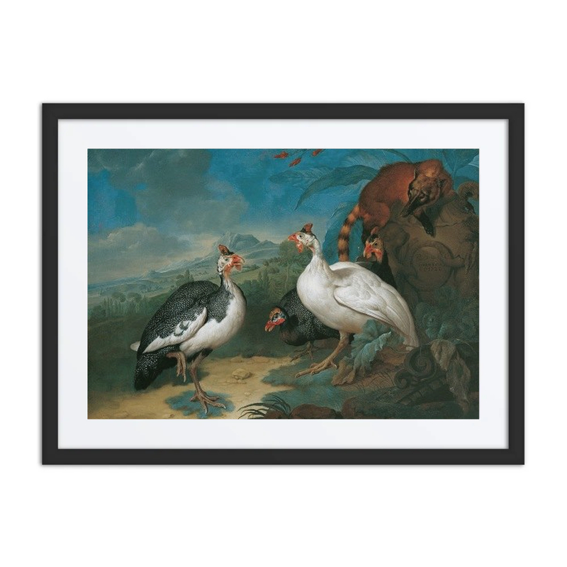 Guinea Fowl and Coati