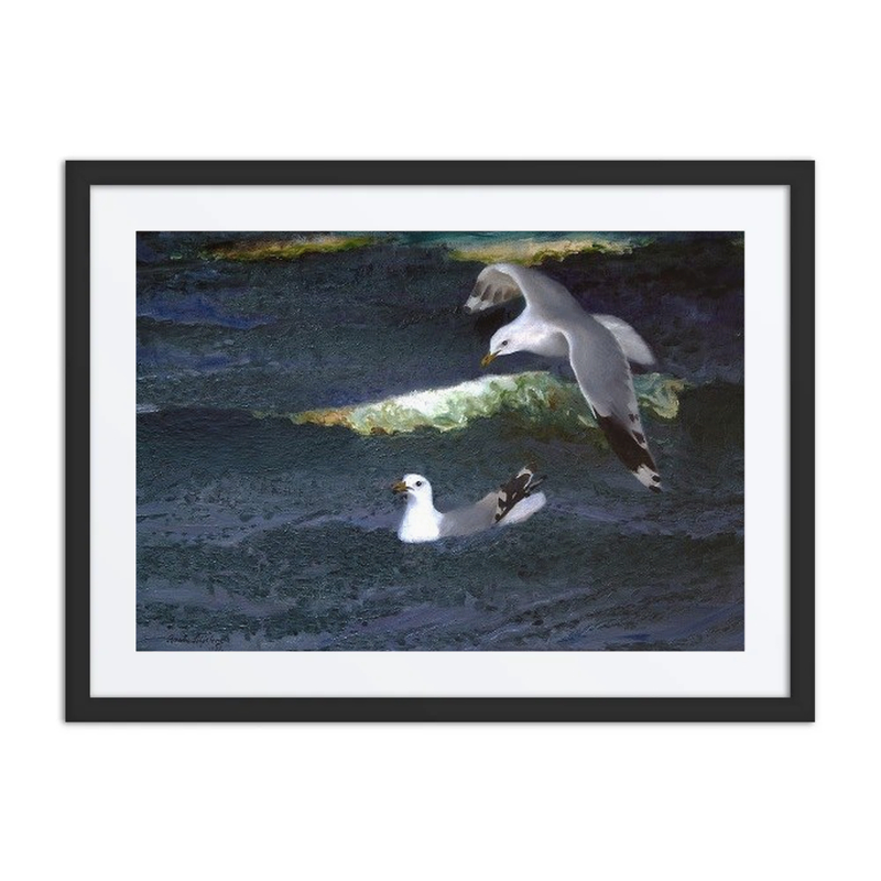 Gulls over Water