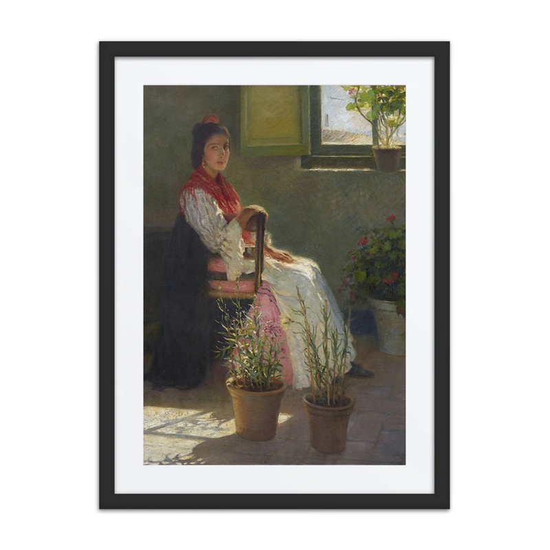 Gypsy and Sunlight