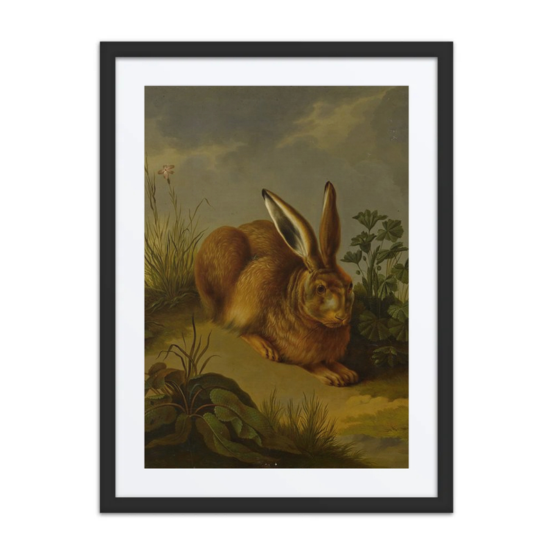 Hare Among Plants and Grasses