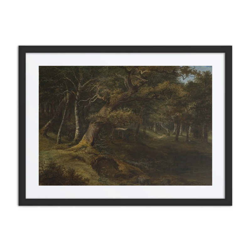 Hare-Hunt in a Beech Forest