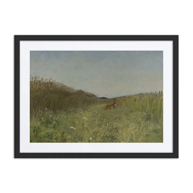 Hare in the Grain